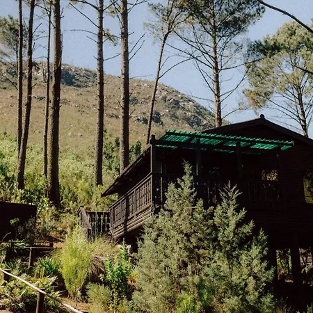 Highlands Lodge Mountain Retreat George Zimmer foto