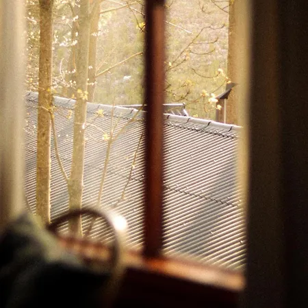 Highlands Lodge Mountain Retreat George Zimmer foto
